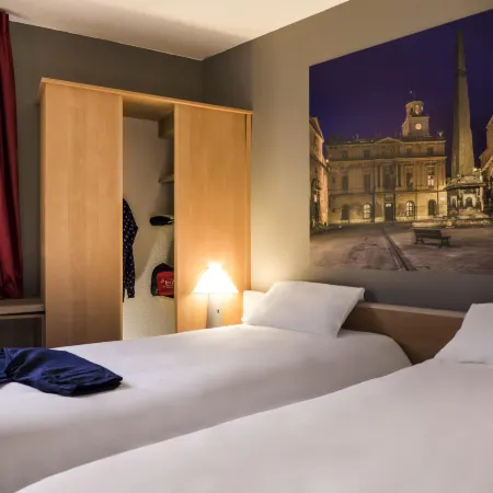 Ibis Arles