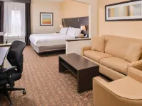 Holiday Inn Express & Suites TOPEKA WEST I-70 WANAMAKER by IHG Hotele w: Topeka