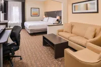 Holiday Inn Express & Suites TOPEKA WEST I-70 WANAMAKER by IHG