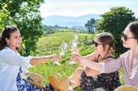 Quinta Da Estrada Winery Douro Valley - วิวภูเขา