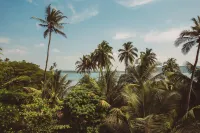 Alpa Viram Retreat Goa