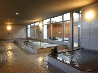 Kojohama Onsen Hotel - Varme kilder
