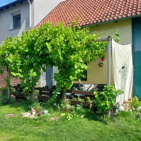 Ferienwohnung am Steinhuder Meer