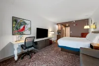 Hilton Garden Inn Martinsburg - Uima-altaat
