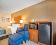 Comfort Inn - Pet friendly