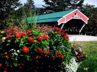 Covered Bridge Riverview Lodge - Wifi