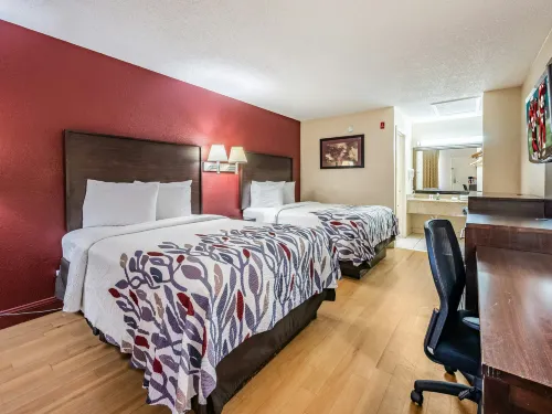 Red Roof Inn Orlando South - Florida Mall - Motel