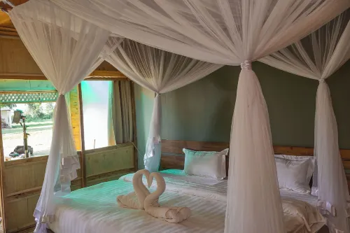 Basecamp Resort Mweya - Wifi