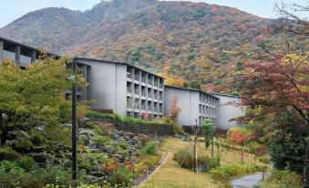 Hakone Ashinoko Hanaori
