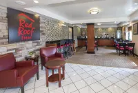 Red Roof Inn Hartford - Vernon Hotels in Storrs