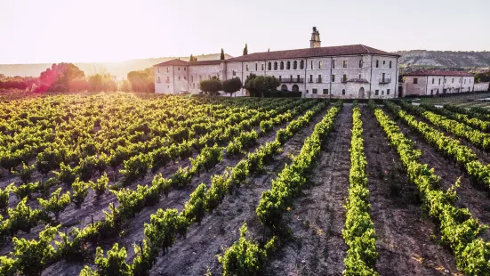 Abadia Retuerta LeDomaine