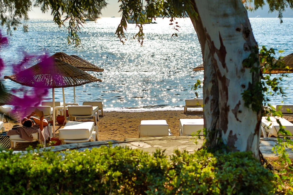 Yalıpark Beach Hotel