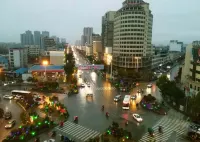 Debang Aili Hotel