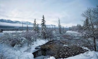 Basecamp Lodge Golden