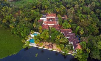 Purity at Lake Vembanad