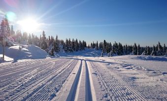 Lillehammer Fjellstue og Hytteutleie