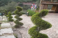 Tree Houses Hotel Hôtels à : Uzunyurt Mahallesi