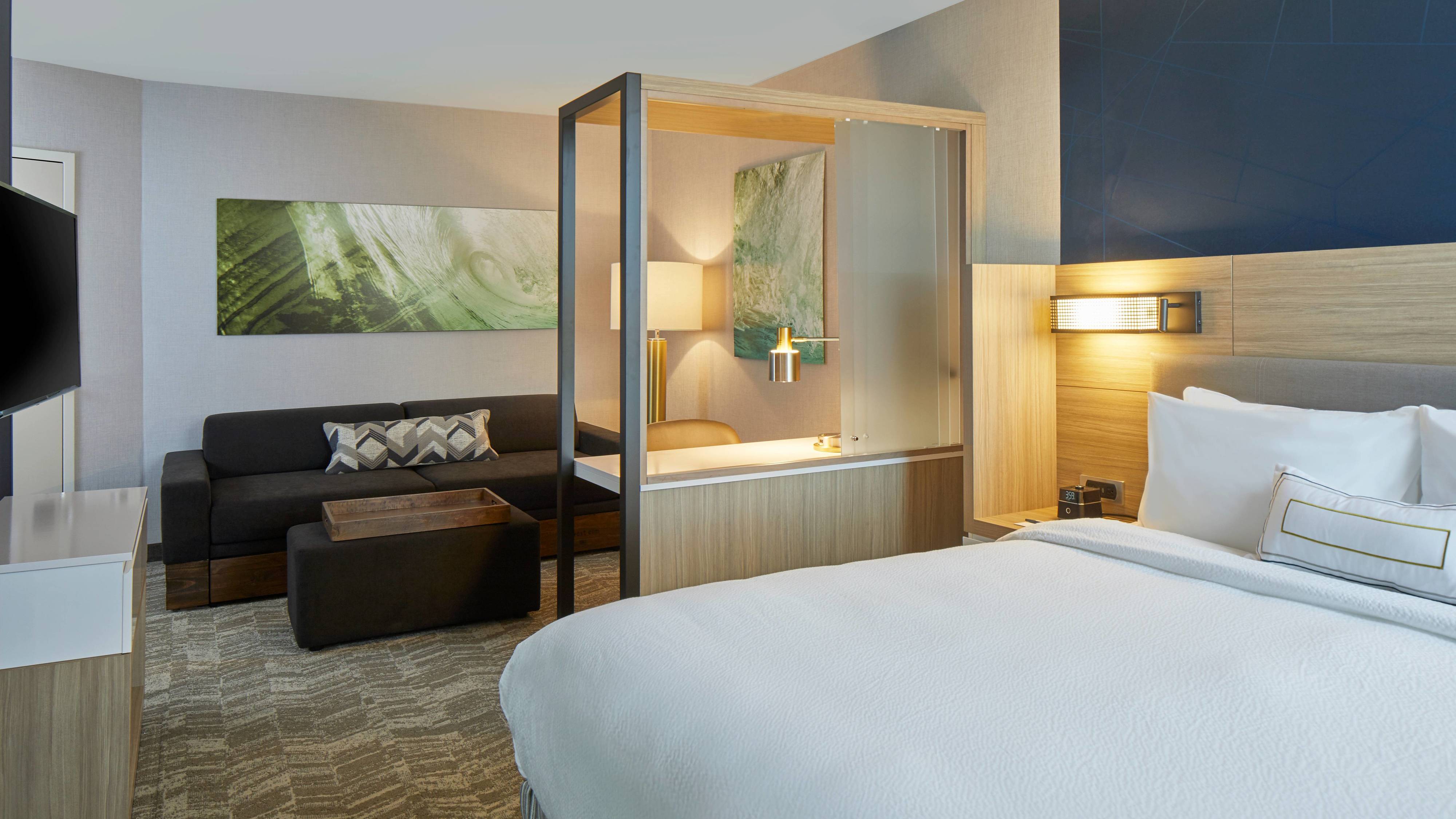 SpringHill Suites by Marriott Charlotte at Carowinds