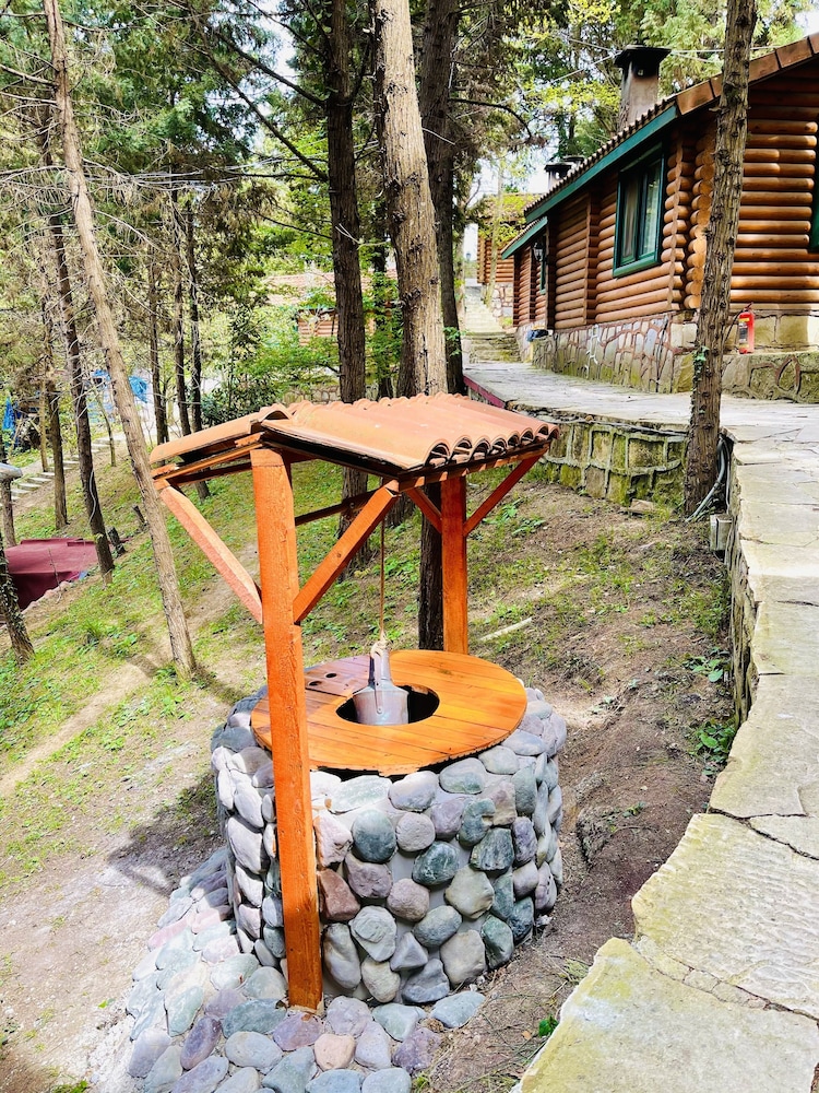 Ağva Orman Evleri Forest Lodge (Agva Orman Evleri Forest Lodge)