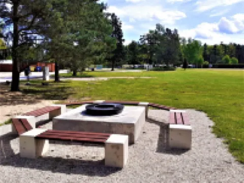 Kemp stribrny rybnik