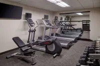 Sonesta Select Indianapolis Carmel - gimnasio