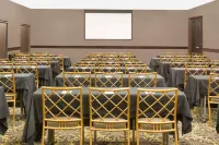 ホーソーン スイーツ、ウィンダム ルボック