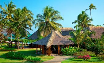 a lush green park with a thatched - roof gazebo surrounded by palm trees , creating a tropical atmosphere at Tivoli Ecoresort Praia do Forte