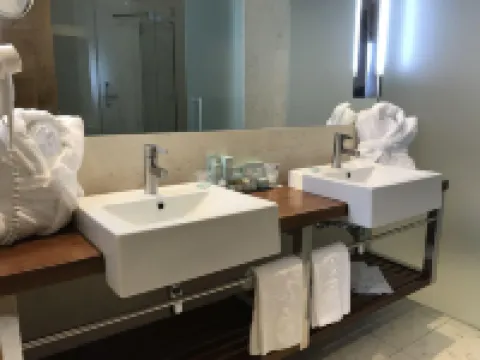 帕拉多託萊多酒店 托萊多酒店