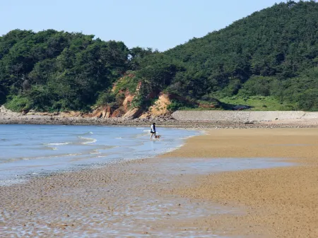 Anmyeondo Chingunae Pension Отели рядом с достопримечательностью «Kkotji Beach»