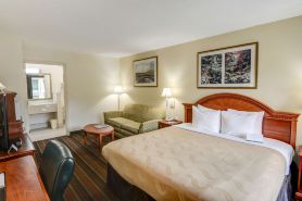 Quality Inn & Suites Biltmore East