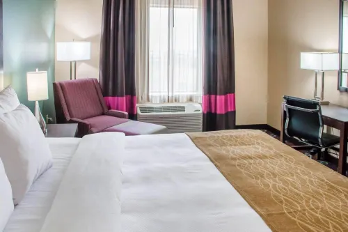 컴퍼트 인 앤드 스위트 산 마르코스