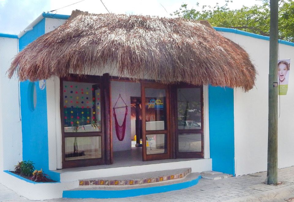 Introducir 42+ imagen beds friends cozumel Abzlocal.mx