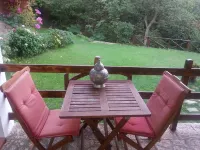 Forest View B&B Hotels in Gavi
