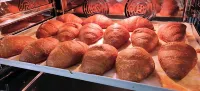 Hotel Modena Old Town - Breakfast