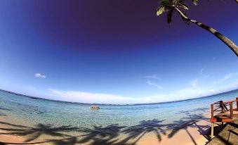 a beautiful beach scene with a few palm trees and clear blue water , creating a serene atmosphere at Fiji Hideaway Resort and Spa