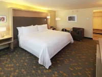 Holiday Inn CIUDAD JUAREZ by IHG Hotels near Parroquia de San Judas Tadeo
