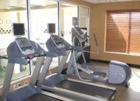 Hilton Garden Inn Addison - salle de sport