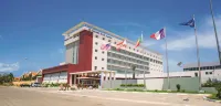 迪帕美特金色鬱金香飯店 - 酒吧