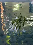 騎士精神精品酒店 - SPA