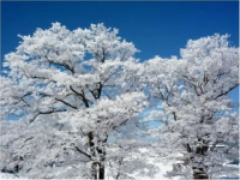 Hotel Kagetsutei Hotels in Tsugaru