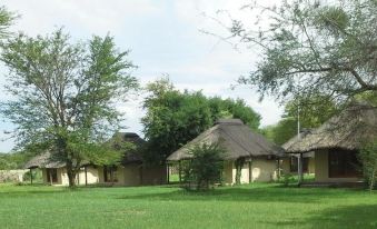 Big 5 Toro Lodge