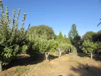 Apple Blossom Inn