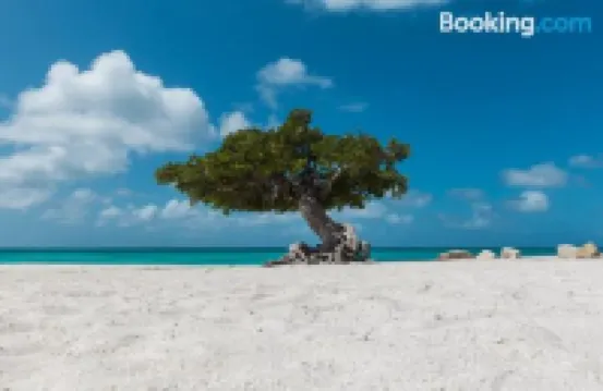 Spectacular Designer Villa 5 Star Luxury 6 Bedroom New