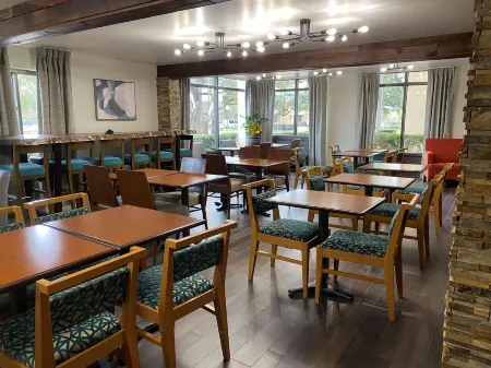 The Addison Hotel, SureStay Collection by Best Western Отели в г. Аддисон