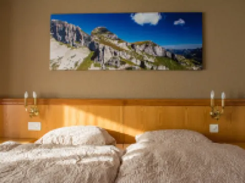 Alpine Classic Hotel Hotels in Leysin