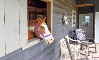 Rustic and Authentic Farm Stay by DuPont Forest!