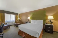 Best Western Plus Country Inn  Suites Hotels in Dodge City