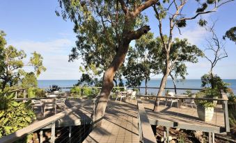 a large tree is surrounded by a wooden deck with chairs and tables , overlooking the ocean at Groote Eylandt Lodge