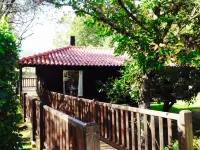 Treehouse Quinta Lamosa - 3-Star