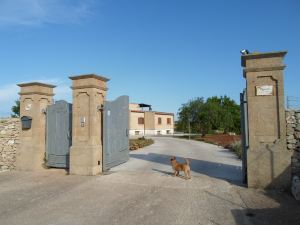 House 3 km from the Sea, Walking Through the Marina di Leuca